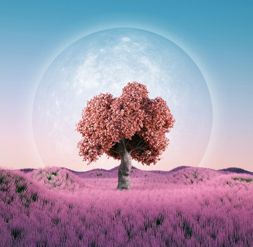 Psychotherapie & Hypnose in Langenzenn